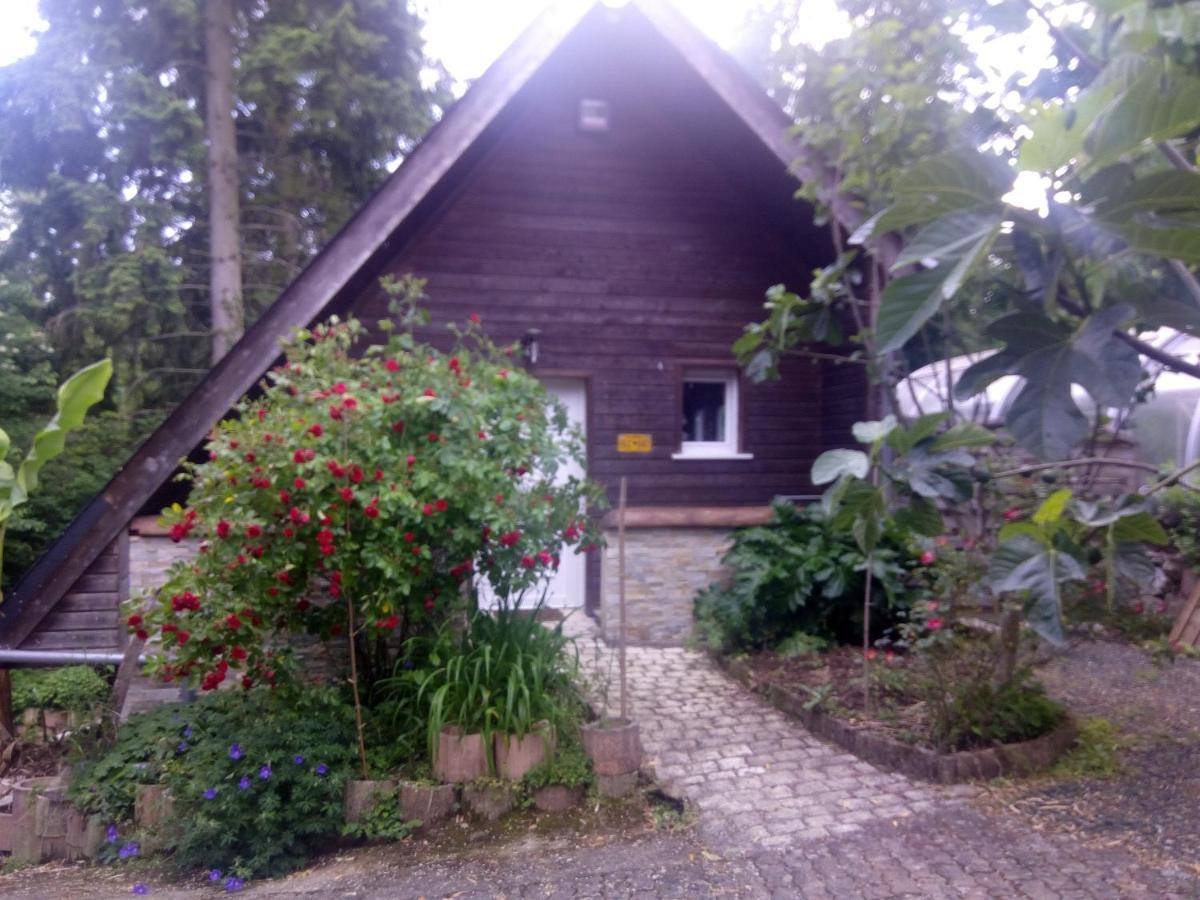 Maison Bois "Alaska" Rochecorbon Exterior foto